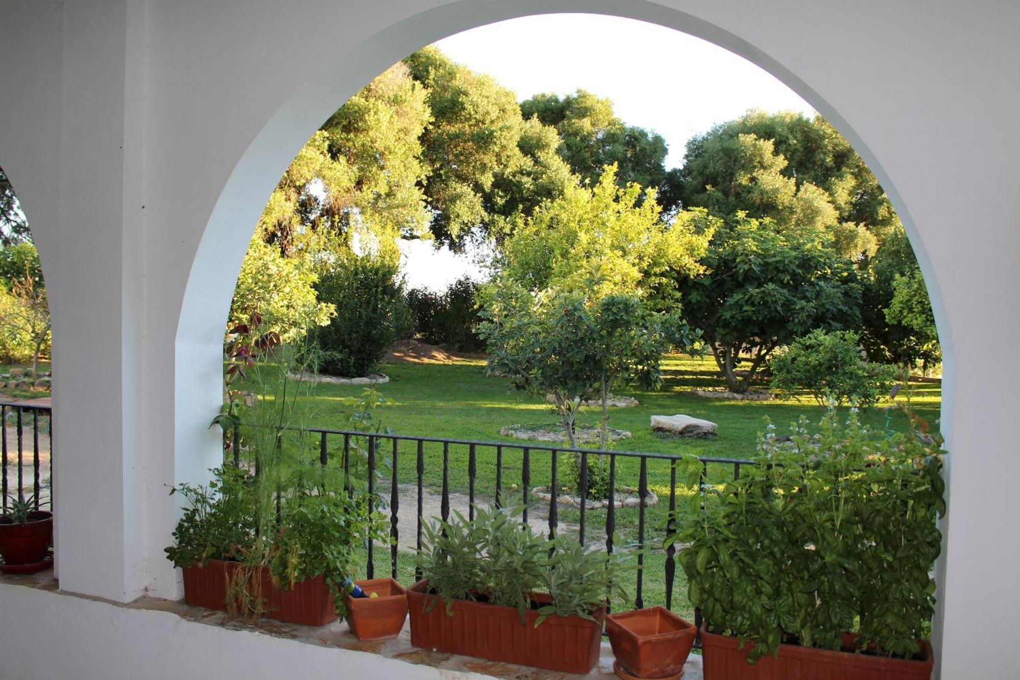 Gasthaus Cortijo El Indiviso Vejer de la Frontera Zimmer foto