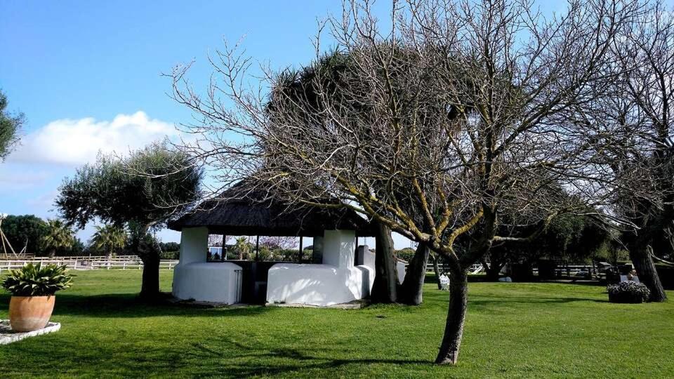 Gasthaus Cortijo El Indiviso Vejer de la Frontera Exterior foto